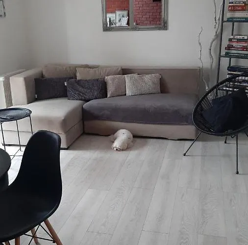 Port Apartment Ostroda